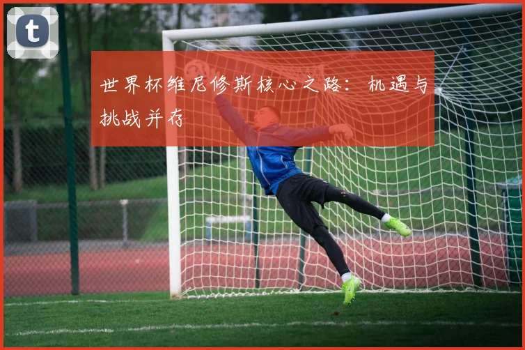 世界杯维尼修斯核心之路：机遇与挑战并存
